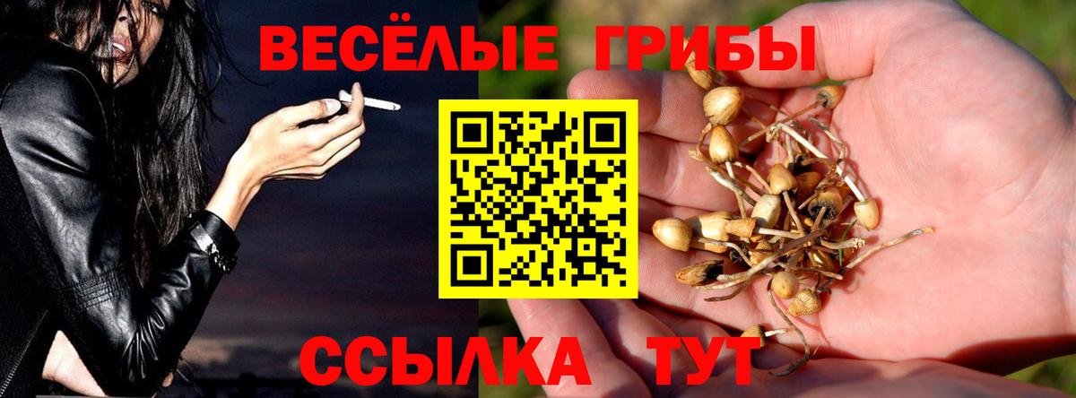 Псилоцибиновые грибы мицелий Феодосия