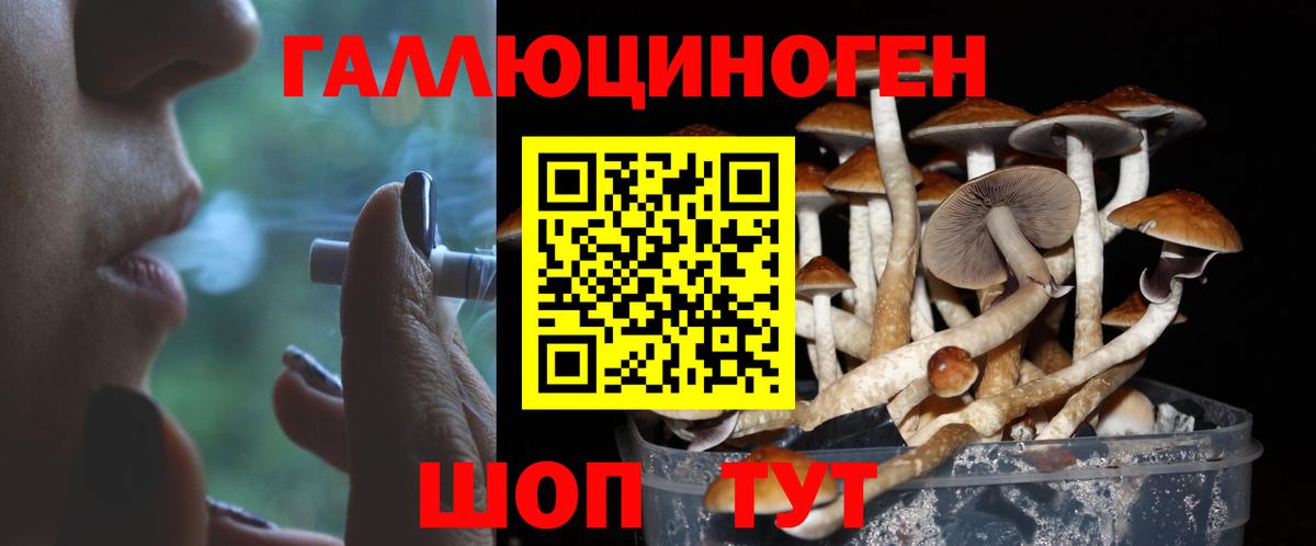 Галлюциногенные грибы Magic Shrooms  Псилоцибиновые грибы мицелий  Вход с VPN  Феодосия 